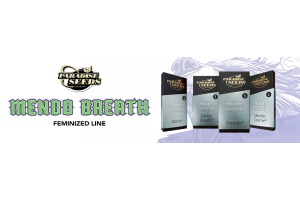 Paradise Seeds Mendo Breath Line