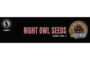 Night Owl Seeds 2025 Drop 1