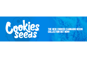 New Strains From Cookies Seeds