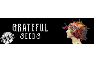 6 Amazing Seed Deals by Grateful Seeds