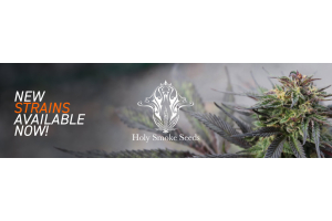 New Holy Smoke Seeds Now Available