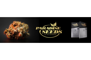 Paradise Seeds: Premium Cannabis Strains