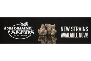 New Strains by Paradise Seeds