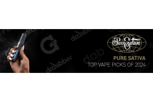 Top Vaporizers of 2024 Puffco DabX Dr. Dabber and G Pen