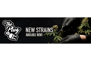 New Strain By The Plug Seedbank