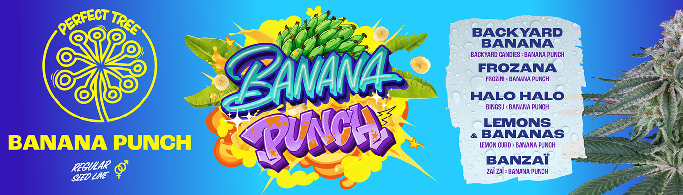 Banana Punch Regular Line