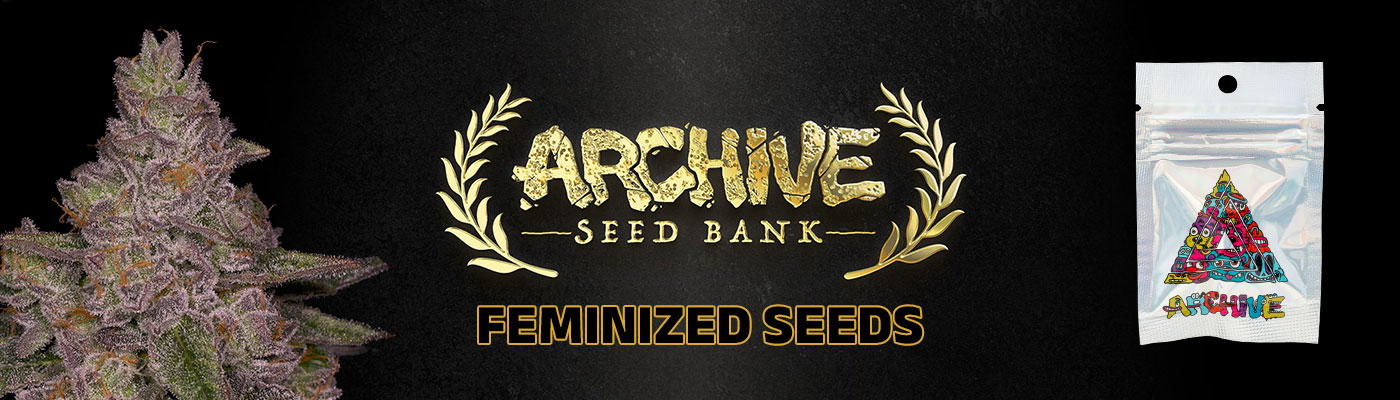 Archive Seedbank Female Cannabis Seeds