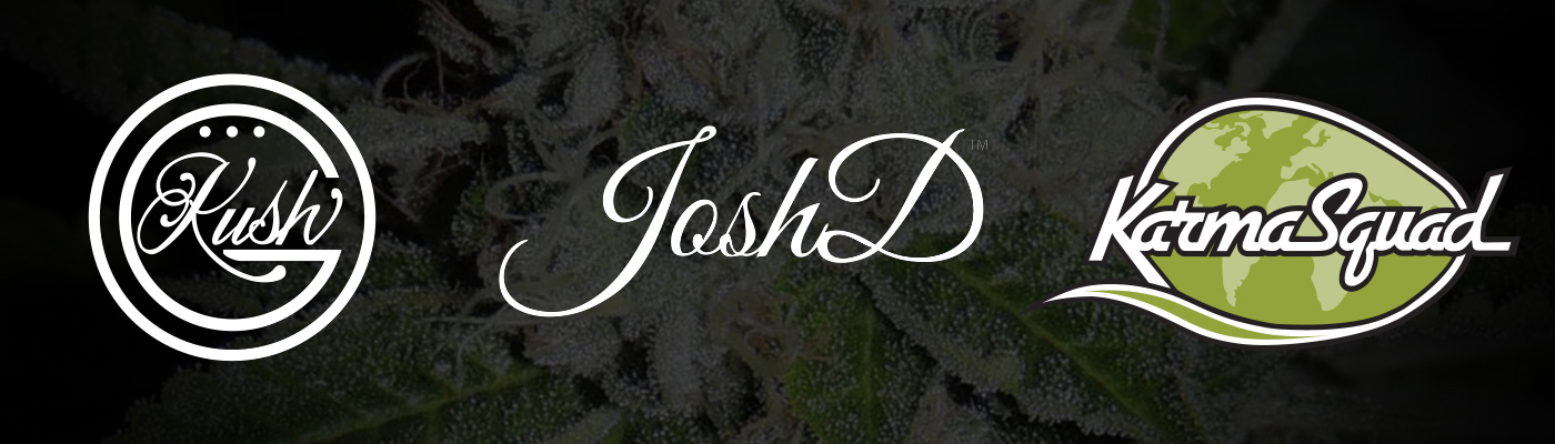 Josh D