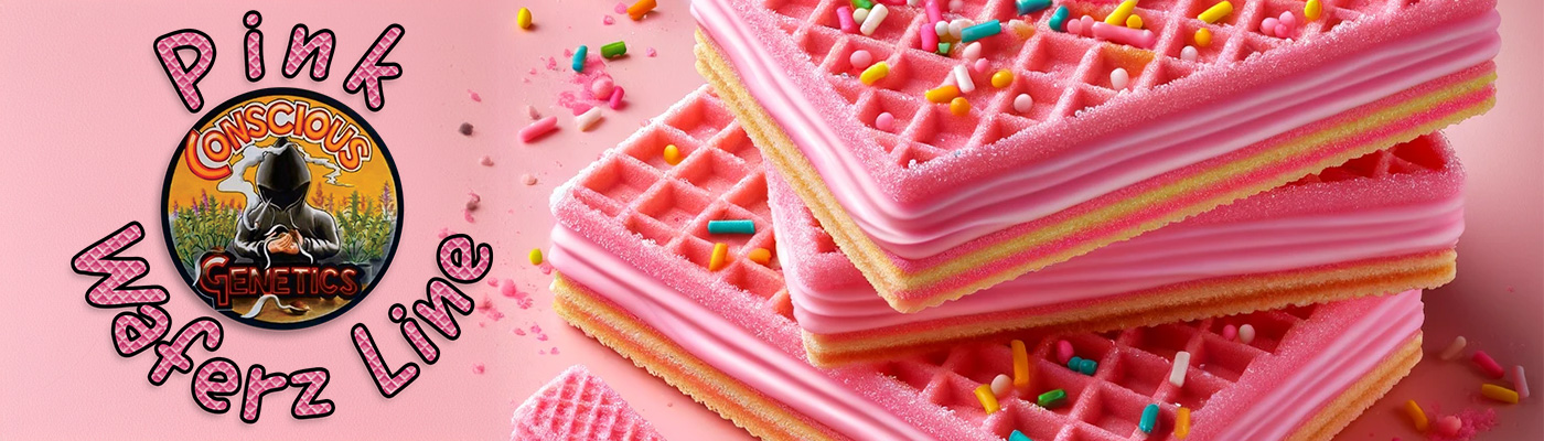 Pink Waferz Line