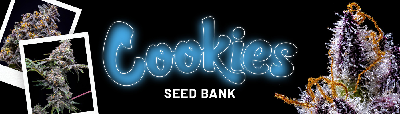 Cookies Seeds