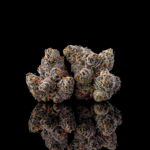 Runtz Carlton Compound Genetics Feminized Cannabis Seeds