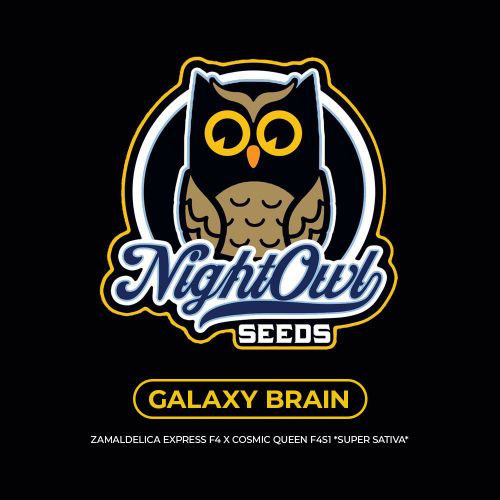 Galaxy Brain Auto Seeds Night Owl Seeds