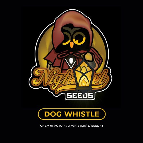 Dog Whistle Auto Seeds Night Owl Seeds