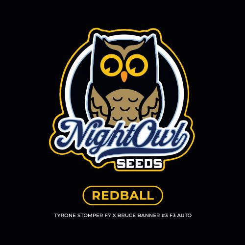 Redball Auto Seeds Night Owl Seeds