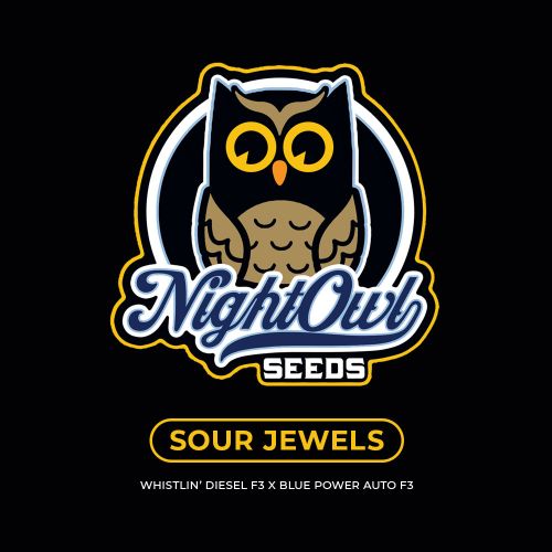 Sour Jewels Auto Seeds Night Owl Seeds