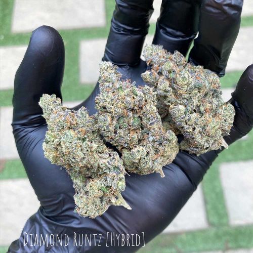 Diamond Runtz Feminized Cannabis Seeds Always Be Flowering