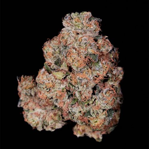 Pink Glue Feminized Cannabis Seeds Soma Seeds