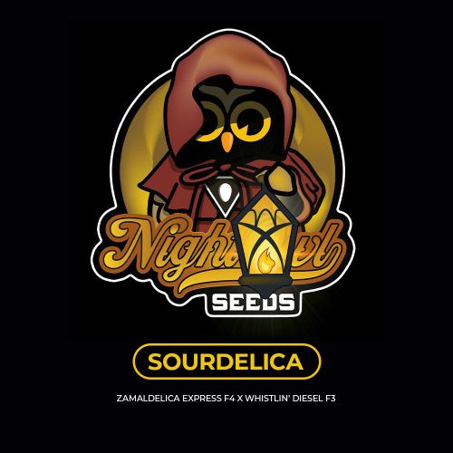 Sourdelica Auto Seeds Night Owl Seeds