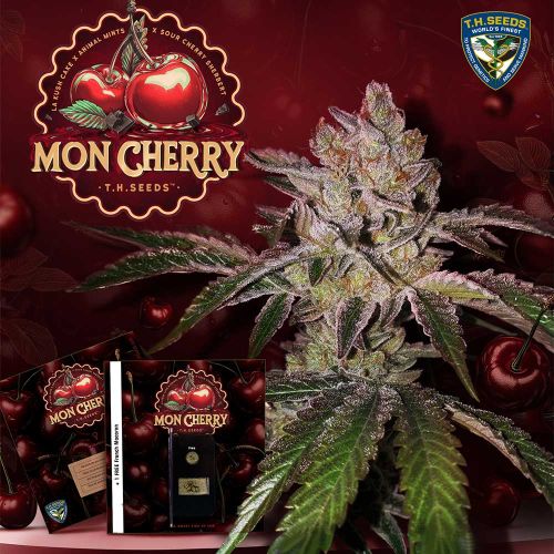 Mon Cherry Feminized Cannabis Seeds T.H.Seeds