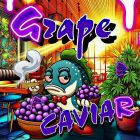 Grape Caviar Feminized Cannabis Seeds Holy Smoke Seeds