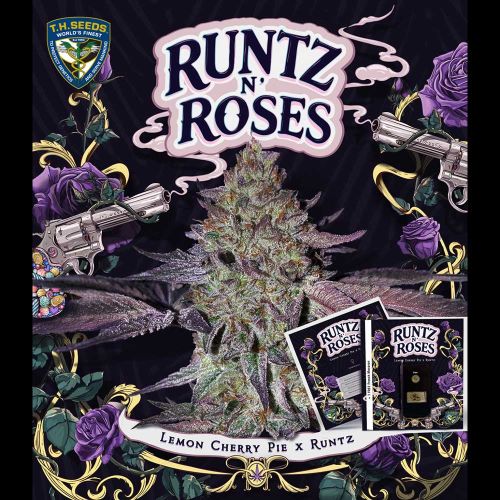 Runtz N' Roses Feminized Cannabis Seeds T.H.Seeds