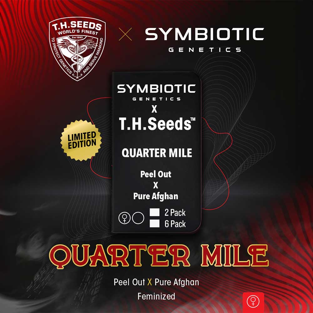 QUARTER MILE FEMINIZED CANNABIS SEEDS BY T.H.SEEDS X SYMBIOTIC GENETICS