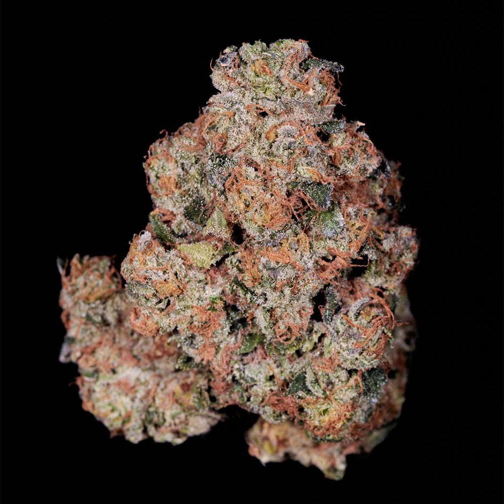 Pink Glue Feminized