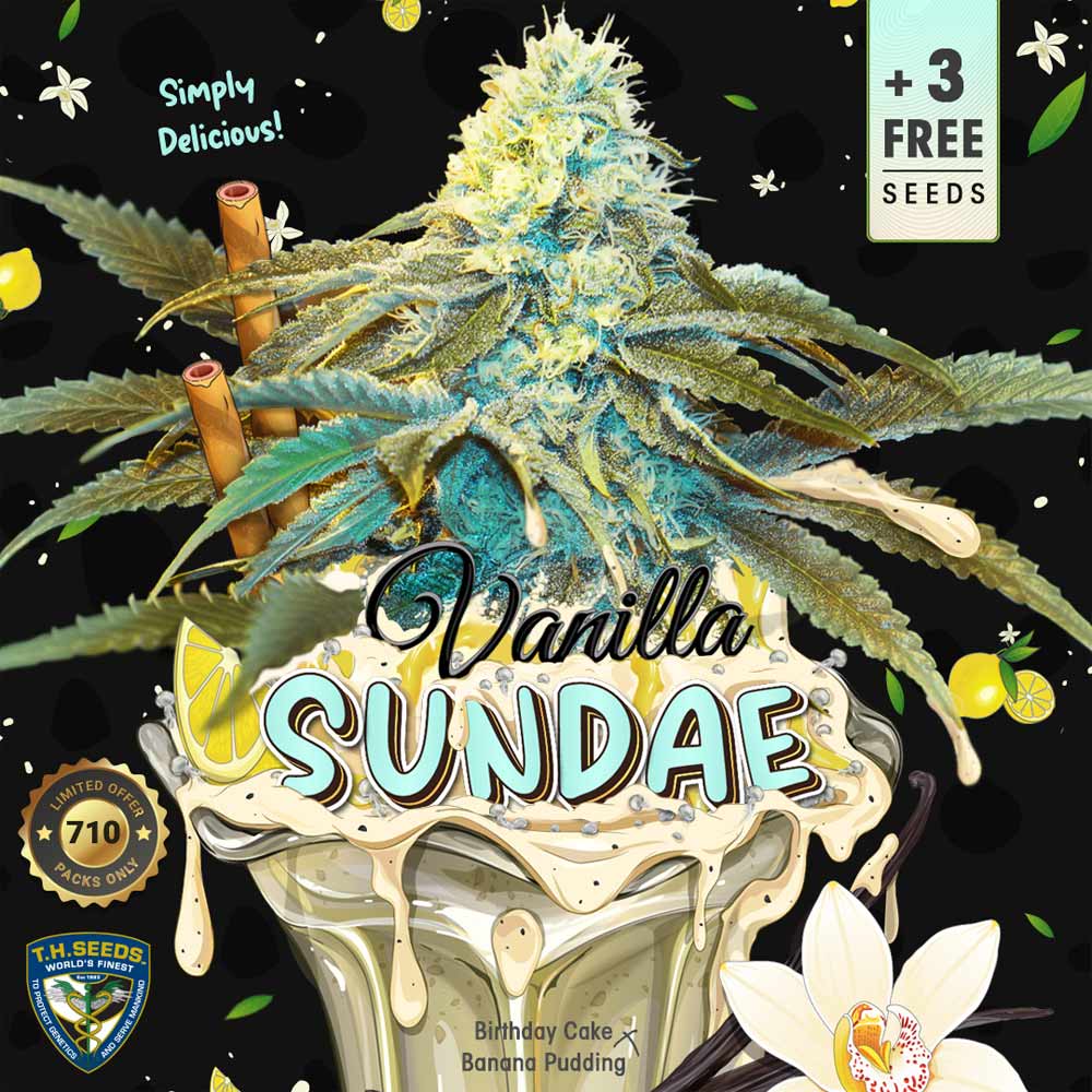 Vanilla Sundae Female Cannabis Seeds by T.H.Seeds