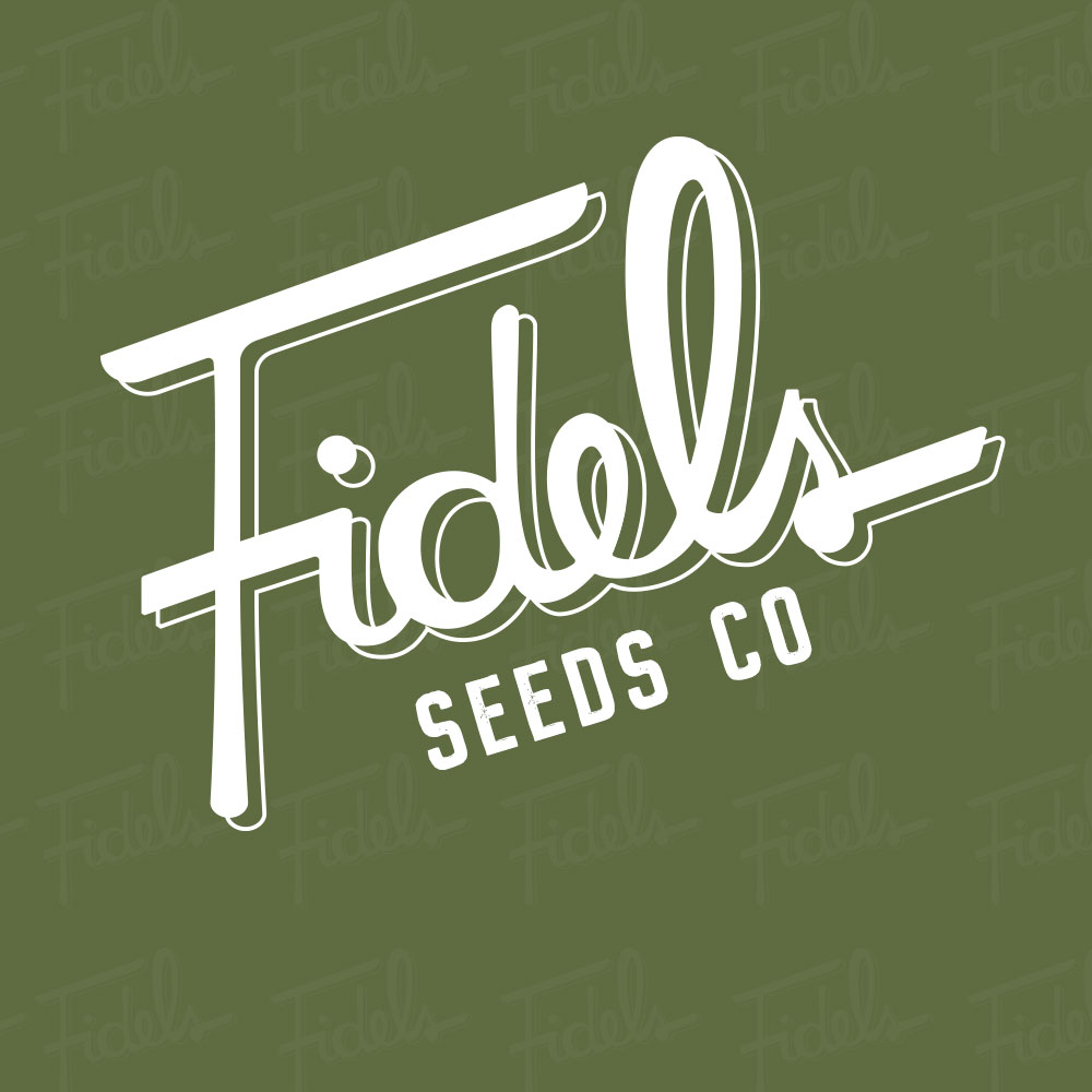 Peach Pound Cake Regular Cannabis Seeds by Fidel's Seed Co