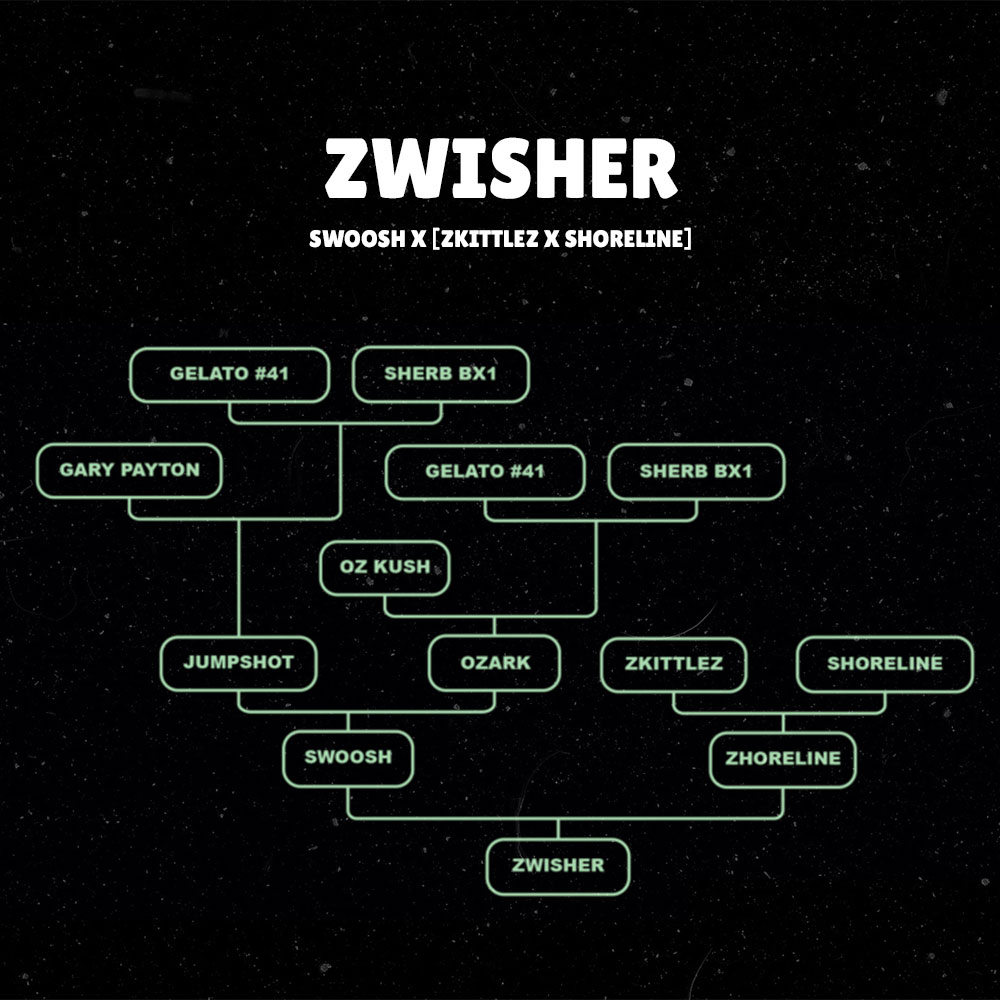 Zwisher Grounded Genetics Feminized Cannabis Seeds