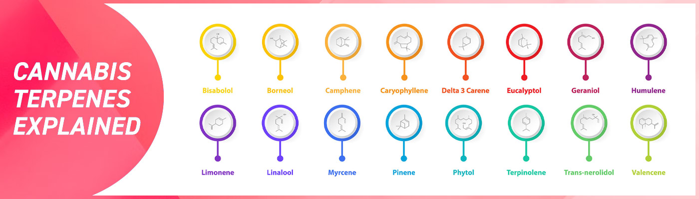 Cannabis Terpenes