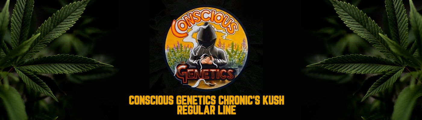 Conscious Genetics Chronic's Kush Regular Line