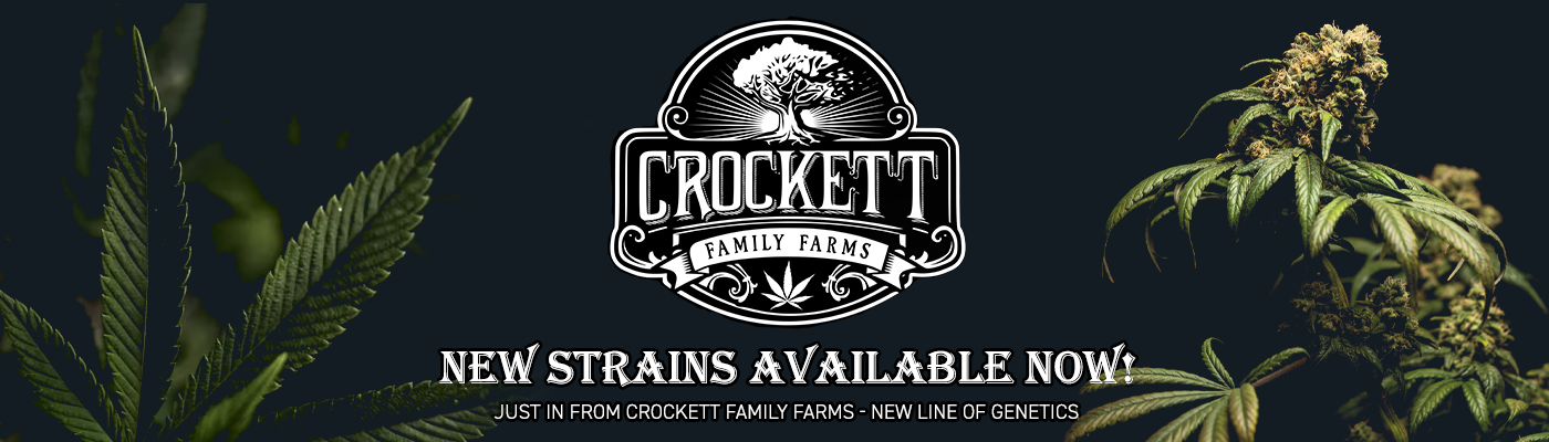 Exploring the New Strains from Crockett Family Farms