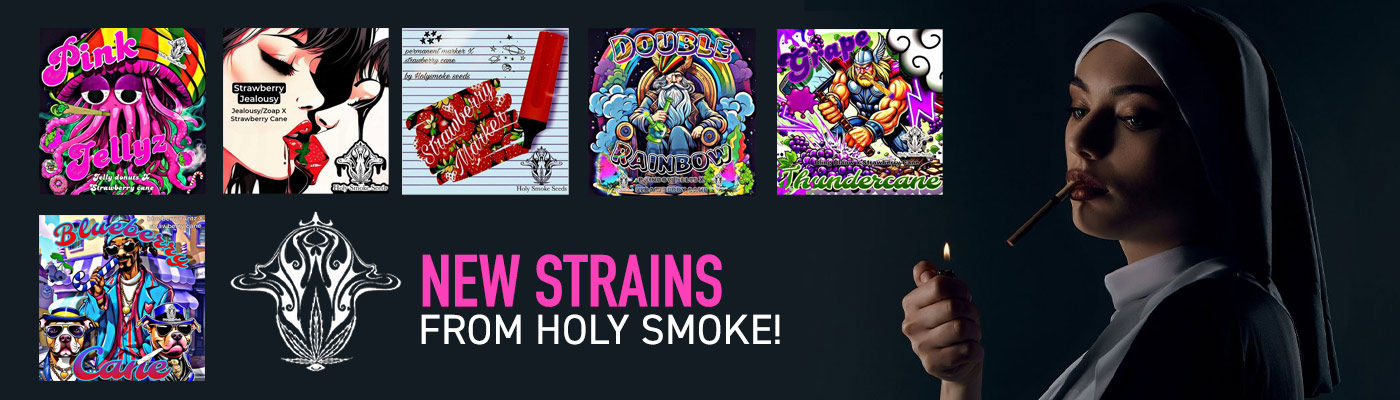 New Holy Smoke Seed Strains