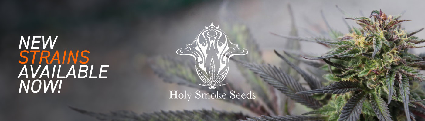 New Holy Smoke Seeds Now Available