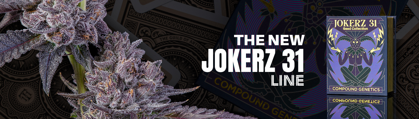 Jokerz #31 Vol. 2 Compound Genetics, Wildcard Strain