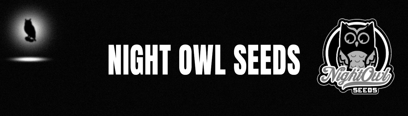 Night Owl Seeds- Buy