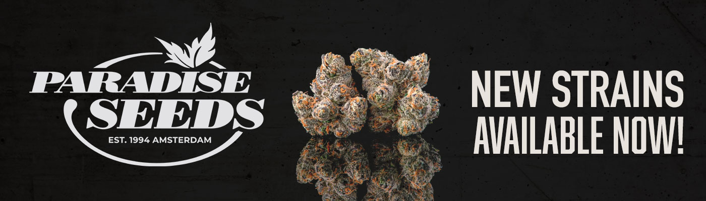 New Strains by Paradise Seeds