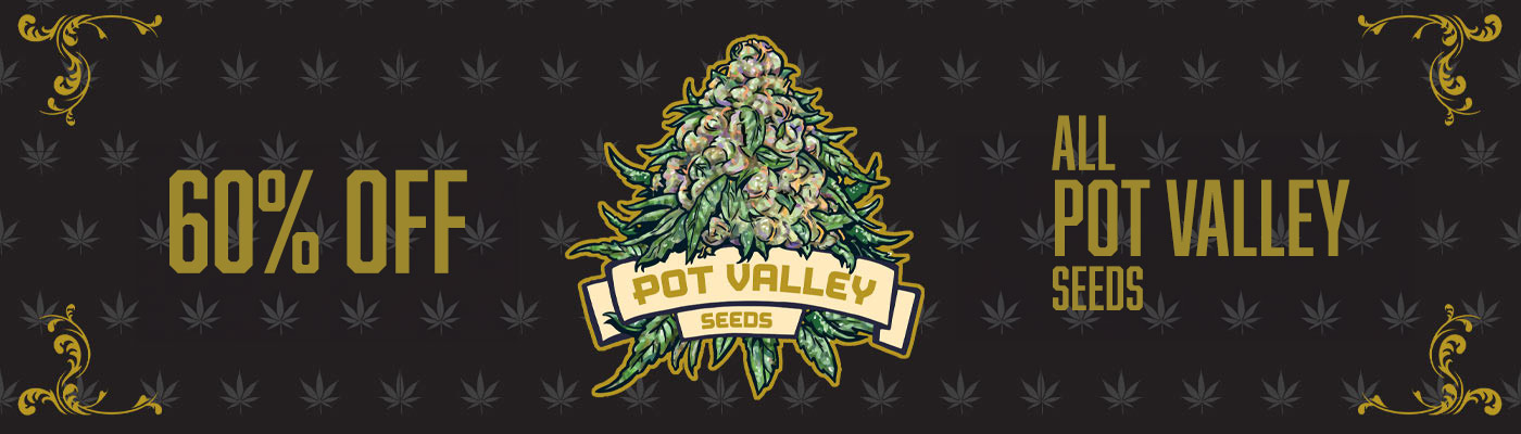 Unlock 60% OFF All Pot Valley Seeds