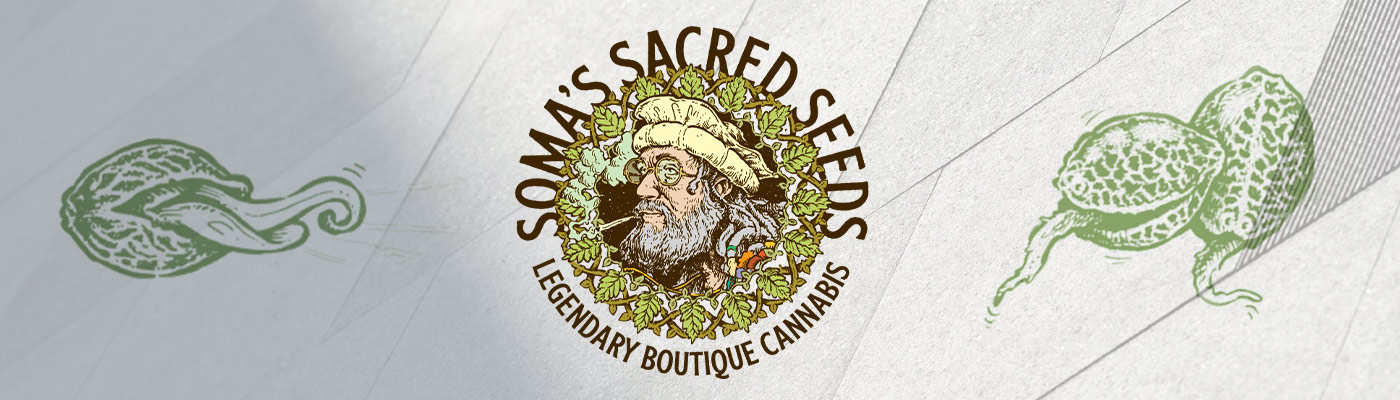 New Selection of Soma Seeds