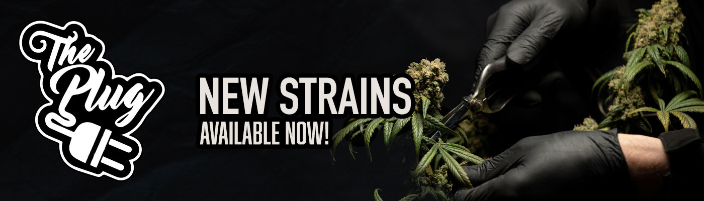 New Strain By The Plug Seedbank