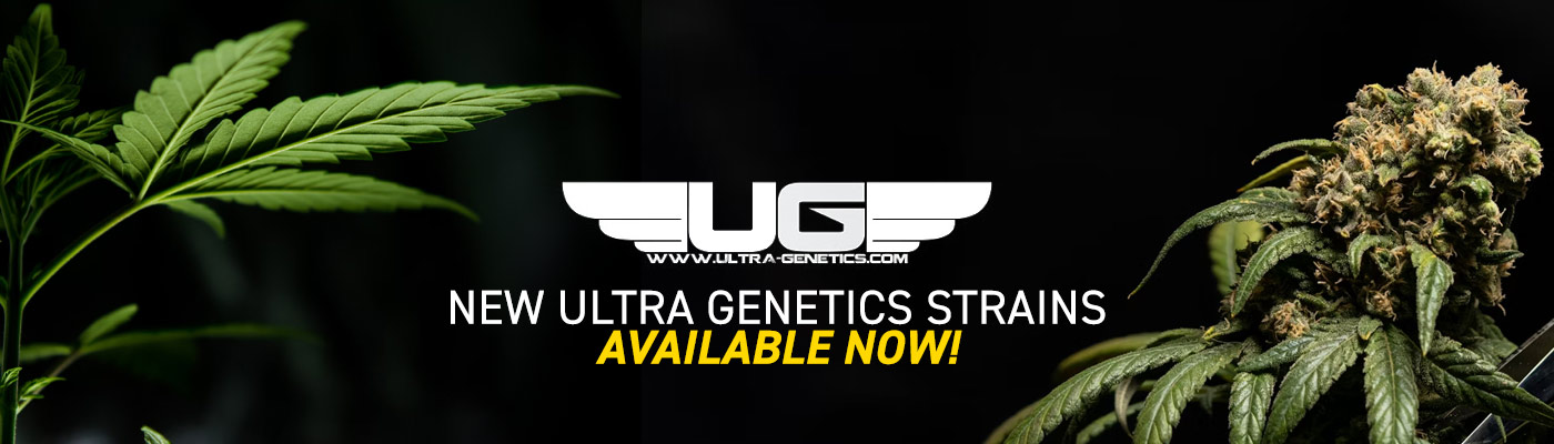 New Ultra Genetics Strains