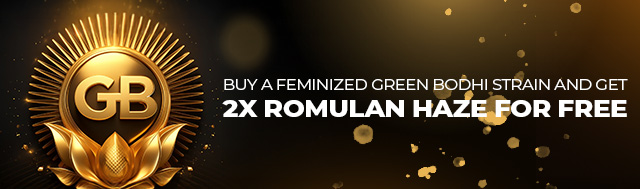 Retail only: buy a fem Green Bodhi strain and get 2x of Romulan Haze for free