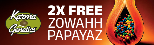 Buy any pack from Karma Genetics and receive 2 free Zowahh Papayaz