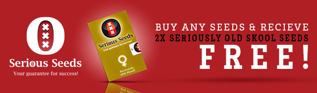 Buy any seeds & receive 2x Seriously Old SKool seeds