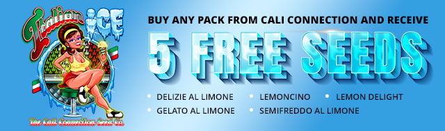 Buy any pack from Cali Connection and receive 5 free seeds