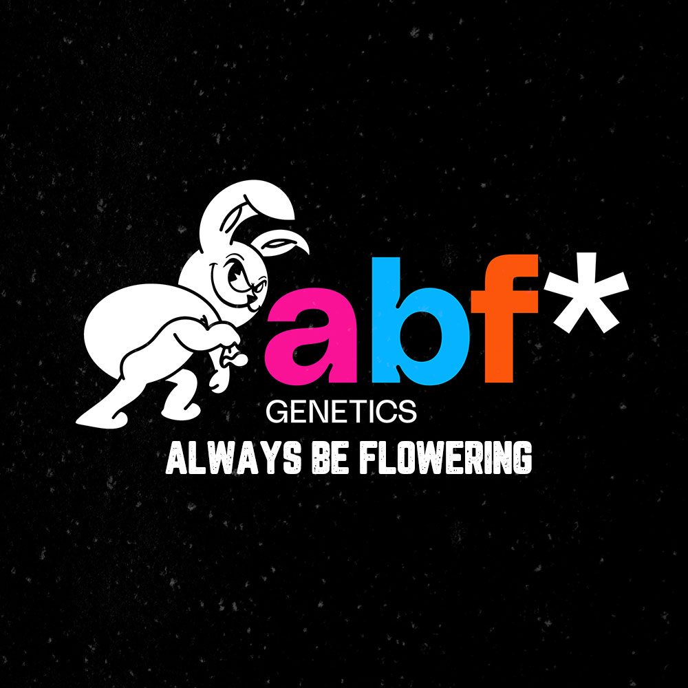 Always Be Flowering Genetics Wholesale