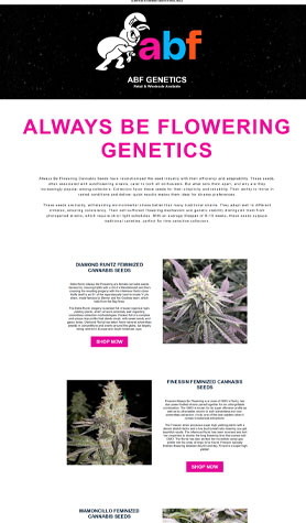 Always Be Flowering Wholesale