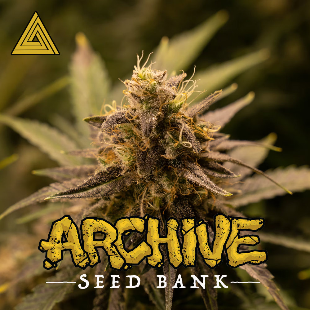 Archive Seed Bank Wholesale