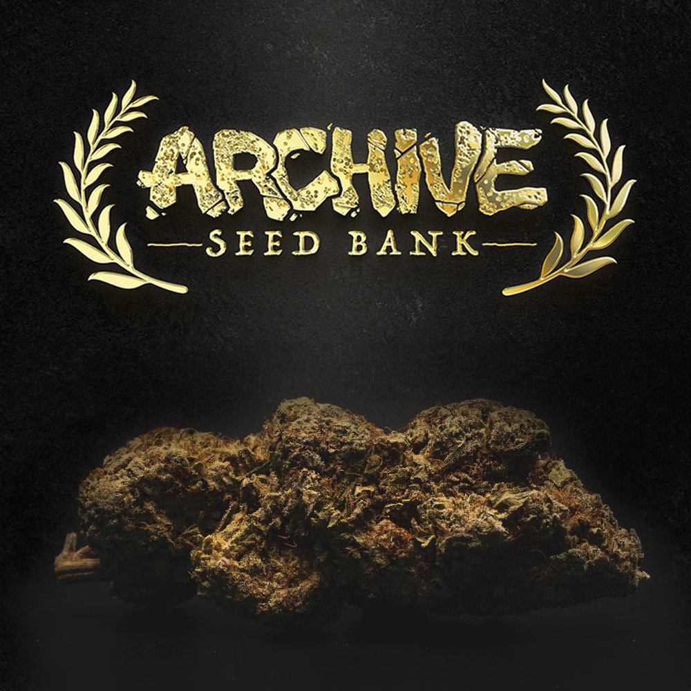 Archive Seed Bank Wholesale